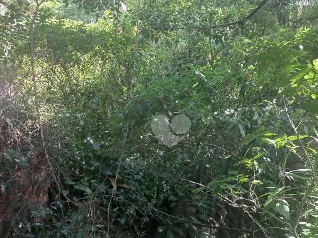 Terreno venda em Região Geográfica Imediata do Rio de Janeiro, Região Metropolitana do Rio de Janeiro