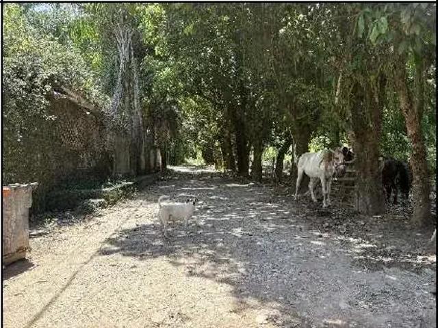 Terreno venda em Região Geográfica Imediata do Rio de Janeiro, Região Metropolitana do Rio de Janeiro
