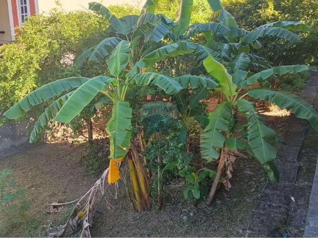 Terreno venda em Região Geográfica Imediata do Rio de Janeiro, Região Metropolitana do Rio de Janeiro