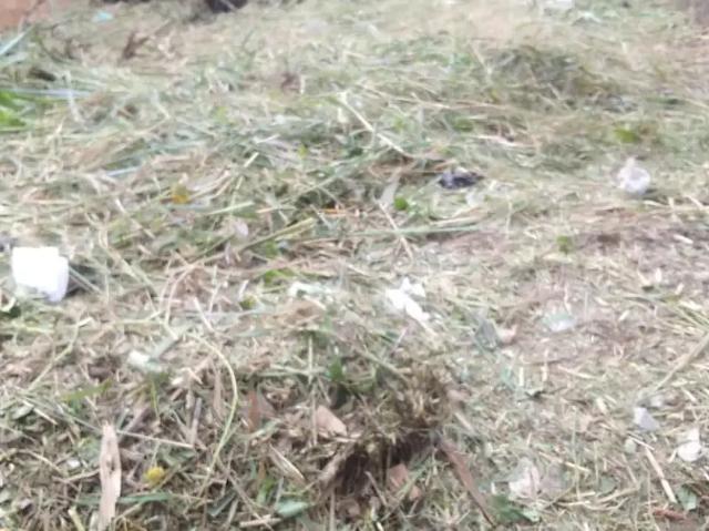 Terreno venda em Região Geográfica Imediata do Rio de Janeiro, Região Metropolitana do Rio de Janeiro