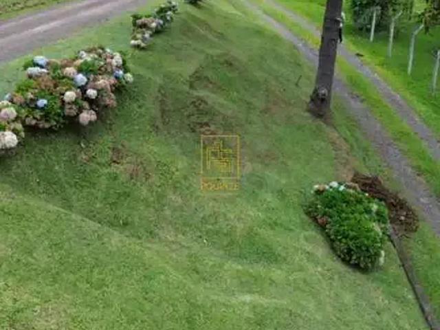Terreno venda em Região Geográfica Imediata de Blumenau, Rio dos Cedros