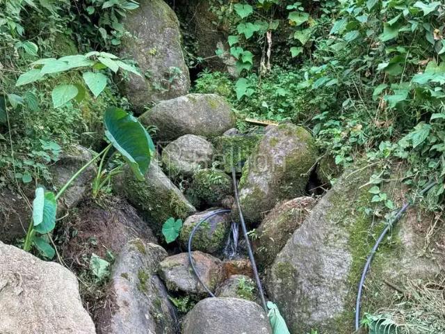 Terreno venda em Região Geográfica Imediata de Blumenau, Rio dos Cedros
