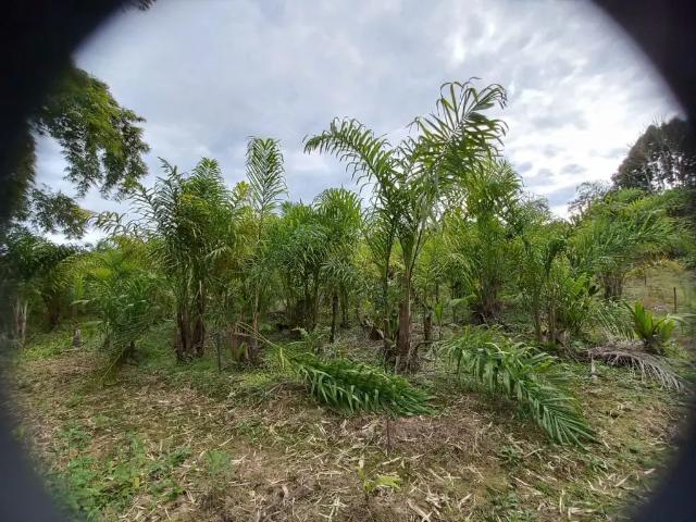 Terreno venda em Região Geográfica Imediata de Blumenau, Rio dos Cedros