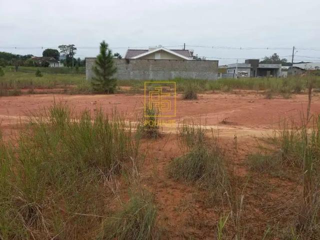 Terreno venda em Região Geográfica Imediata de Blumenau, Rio dos Cedros