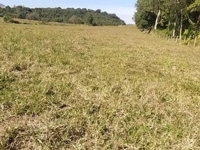 Terreno venda em Região Geográfica Imediata de Blumenau, Rio dos Cedros