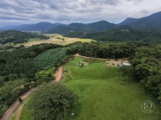Terreno venda em Região Geográfica Imediata de Blumenau, Rio dos Cedros
