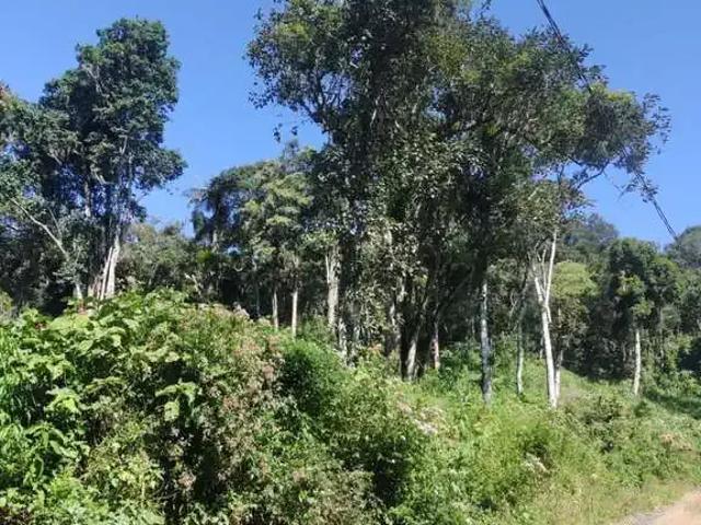 Terreno venda em Região Geográfica Imediata de Blumenau, Rio dos Cedros