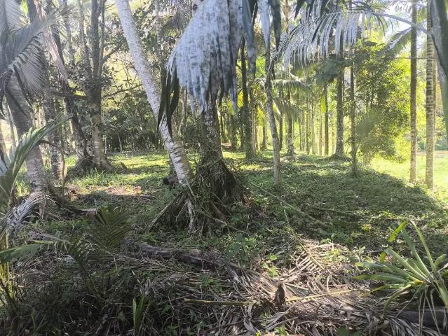Terreno venda em Região Geográfica Imediata de Blumenau, Rio dos Cedros