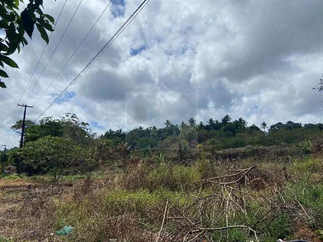 Terreno venda em Rio Formoso