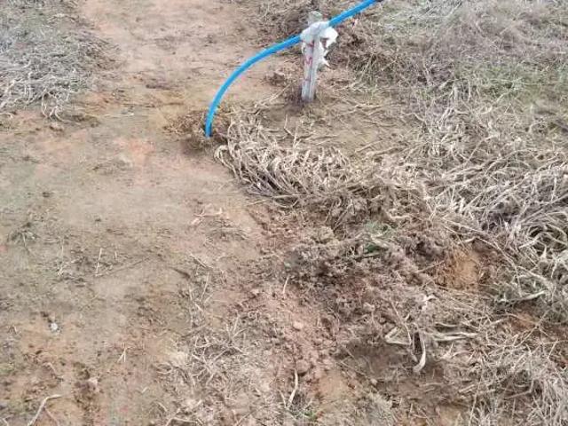 Terreno venda em Região Geográfica Imediata de Maceió, Rio Largo