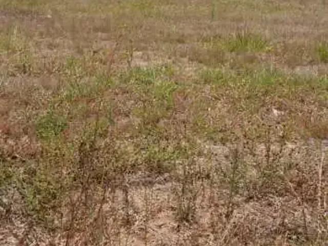 Terreno venda em Região Geográfica Imediata de Maceió, Rio Largo