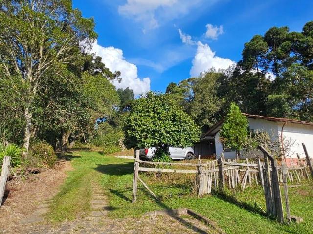 Terreno venda em Centro, Rio Negrinho