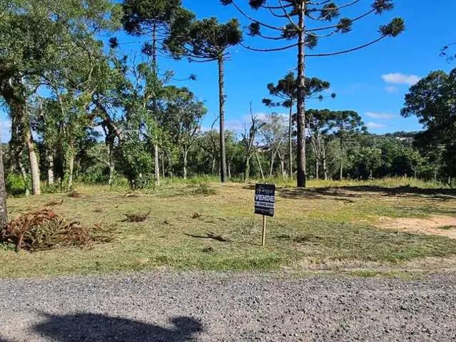 Terreno venda em Região Geográfica Imediata de São Bento do Sul-Rio Negrinho, Rio Negrinho