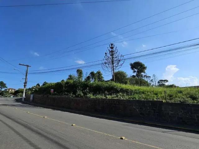 Terreno venda em Região Geográfica Imediata de São Bento do Sul-Rio Negrinho, Rio Negrinho