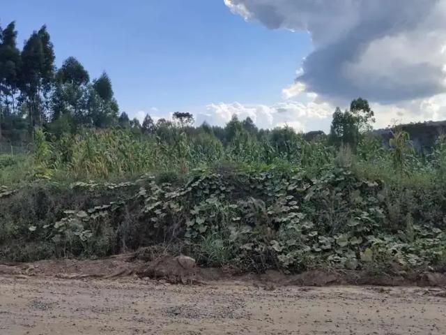 Terreno venda em Região Geográfica Imediata de São Bento do Sul-Rio Negrinho, Rio Negrinho