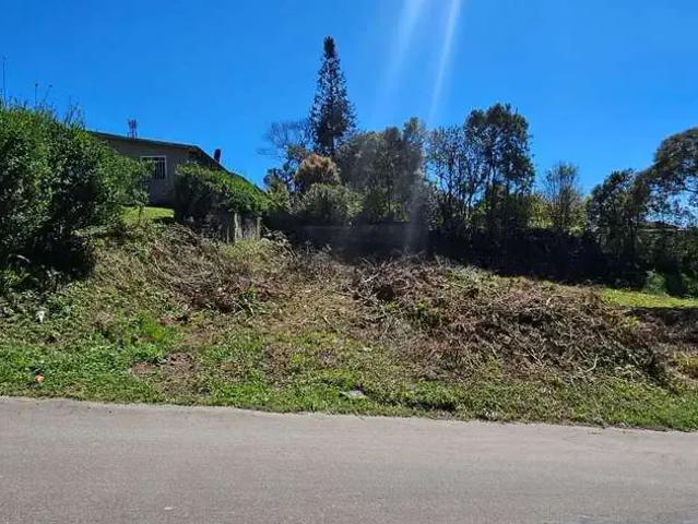 Terreno venda em Região Geográfica Imediata de São Bento do Sul-Rio Negrinho, Rio Negrinho