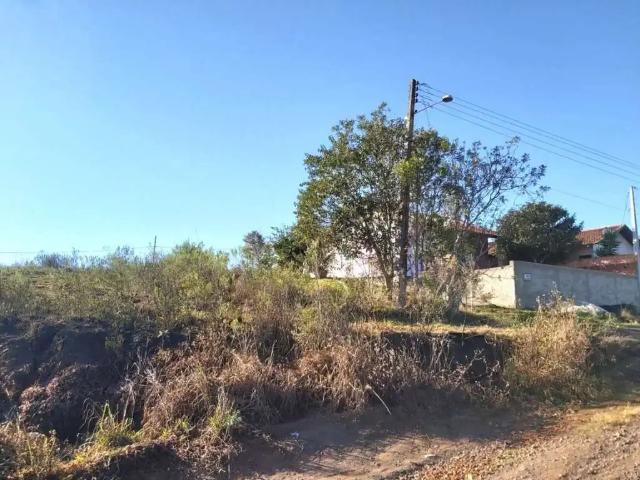 Terreno venda em Região Geográfica Imediata de São Bento do Sul-Rio Negrinho, Rio Negrinho
