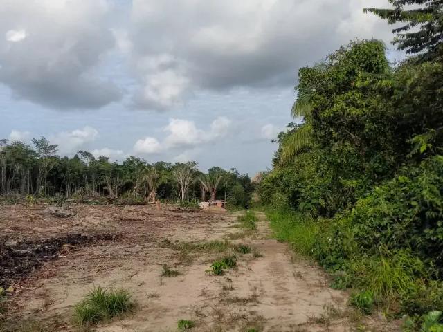 Terreno venda em Região Geográfica Imediata de Manaus, Rio Preto da Eva