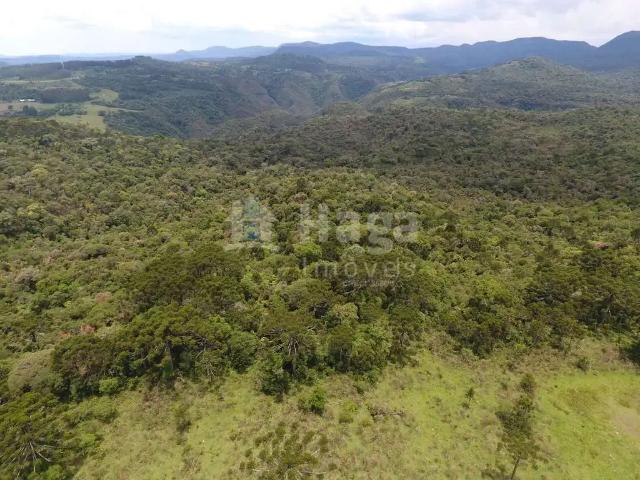 Terreno venda em Região Geográfica Imediata de Lages, Rio Rufino
