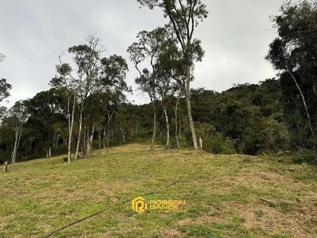Terreno venda em Região Geográfica Imediata de Lages, Rio Rufino
