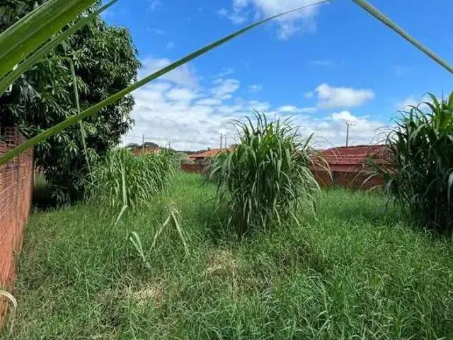 Terreno venda em Região Imediata de Votuporanga, Riolândia