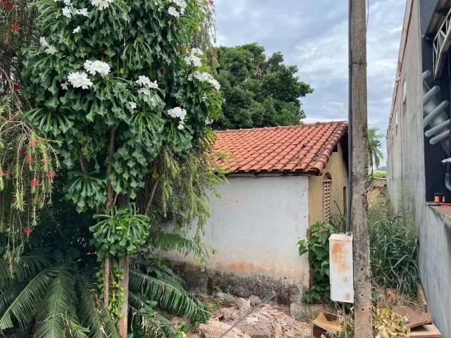 Terreno venda em Região Imediata de Votuporanga, Riolândia