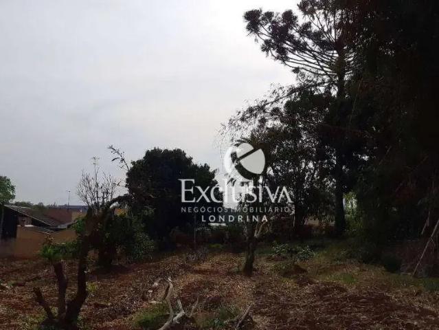 Terreno venda em Centro Histórico, Rolândia