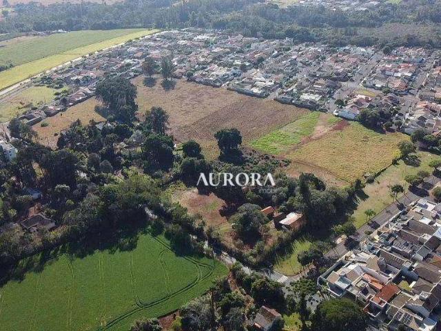 Terreno venda em Jardim Campo Belo, Rolândia