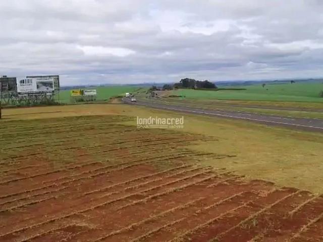 Terreno venda em Rolândia, Região Geográfica Intermediária de Londrina