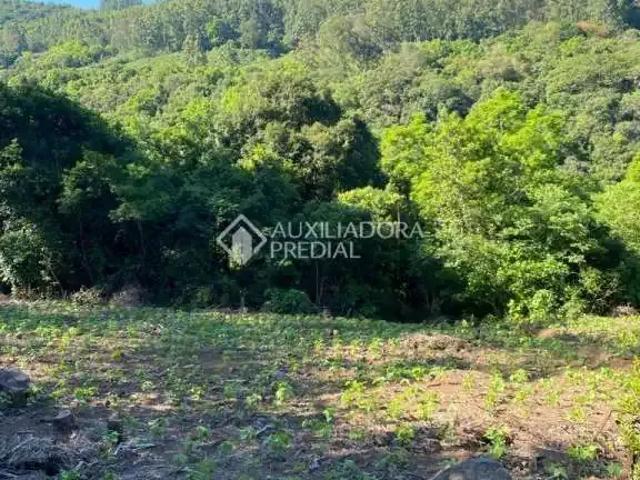 Terreno venda em Rolante
