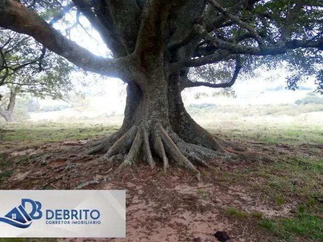 Terreno venda em Região Geográfica Imediata de Santana do Livramento, Rosário do Sul