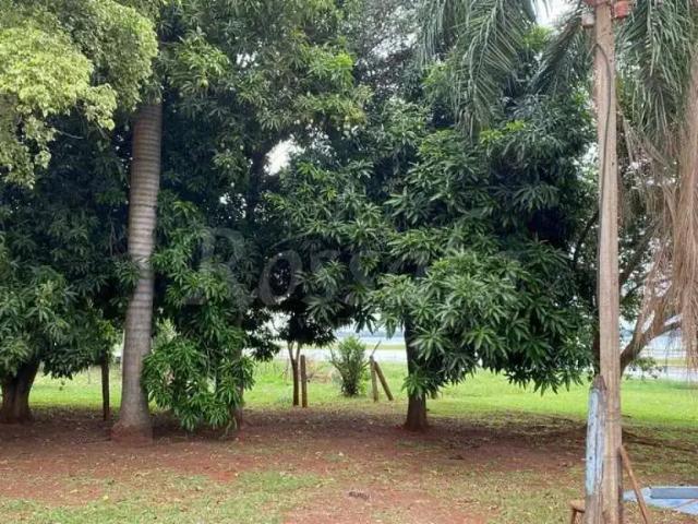 Terreno venda em Região Imediata de Santa Fé do Sul, Rubineia