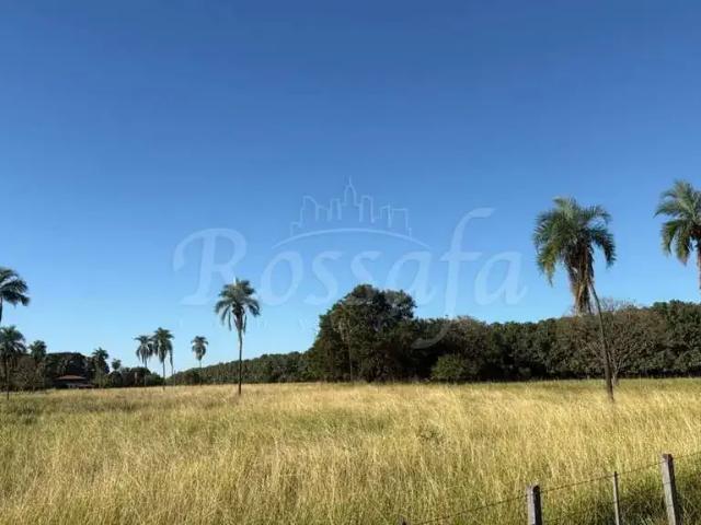 Terreno venda em Região Imediata de Santa Fé do Sul, Rubineia