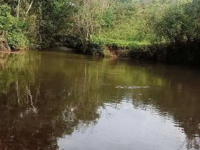 Terreno venda em Região Geográfica Imediata de Santa Bárbara - Ouro Preto, Ouro Preto