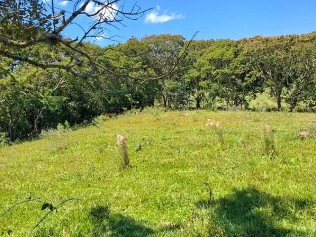 Terreno venda em Região Imediata de Taubaté-Pindamonhangaba, Região Metropolitana do Vale do Paraíba e Litoral Norte
