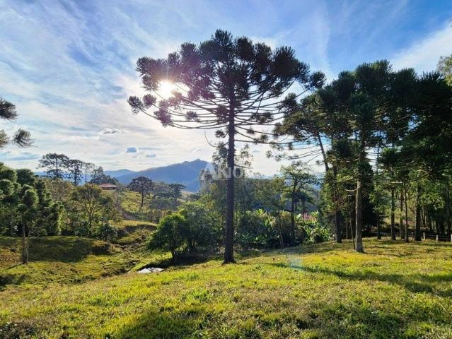 Terreno venda em São Bento do Sapucaí