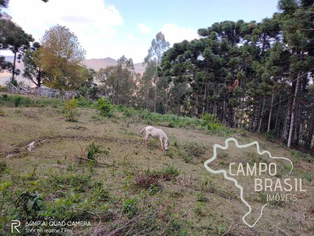 Terreno venda em São Bento do Sapucaí
