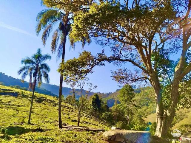 Terreno venda em Região Imediata de Taubaté-Pindamonhangaba, Região Metropolitana do Vale do Paraíba e Litoral Norte