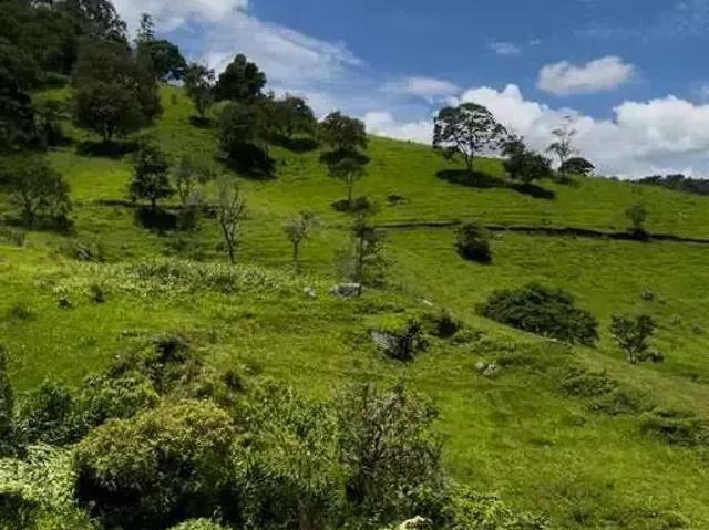 Terreno venda em São Bento do Sapucaí, Região Geográfica Intermediária de São José dos Campos