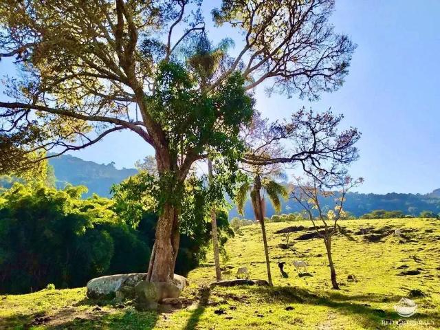 Terreno venda em Região Imediata de Taubaté-Pindamonhangaba, Região Metropolitana do Vale do Paraíba e Litoral Norte