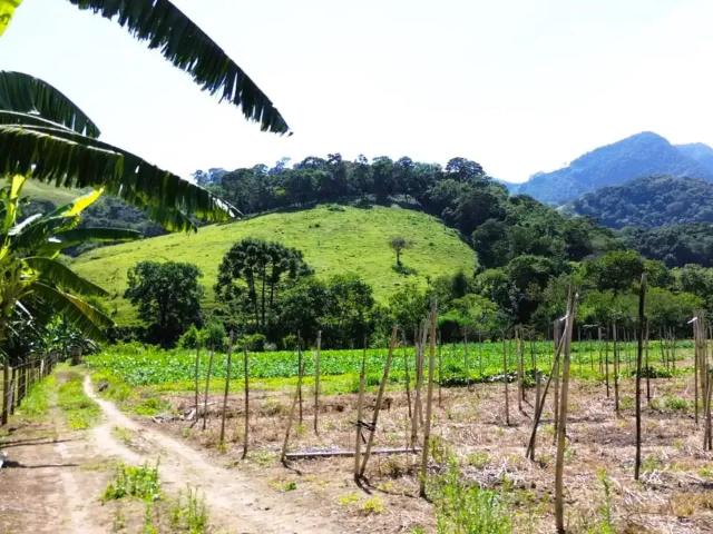 Terreno venda em São Bento do Sapucaí
