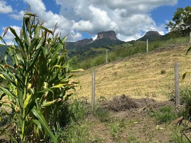 Terreno venda em Jardim Nova Conquista, São Bento do Sapucaí