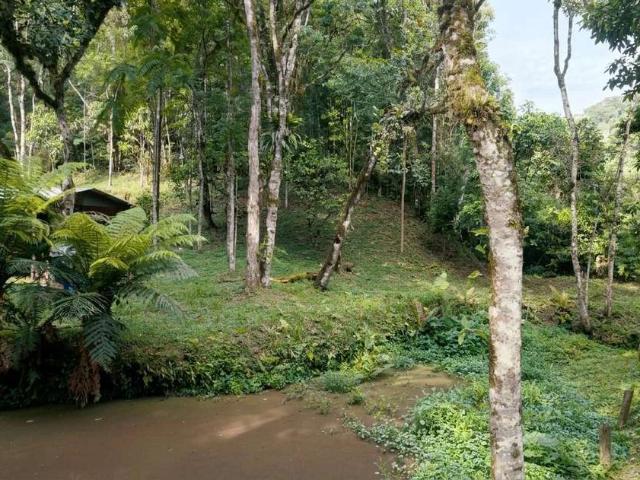 Terreno venda em São Bento do Sul, Região Geográfica Intermediária de Joinville