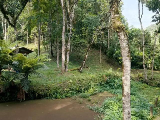 Terreno venda em Região Geográfica Imediata de São Bento do Sul-Rio Negrinho, São Bento do Sul