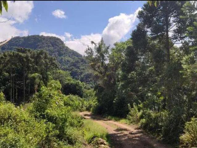Terreno venda em Região Geográfica Imediata de São Bento do Sul-Rio Negrinho, São Bento do Sul