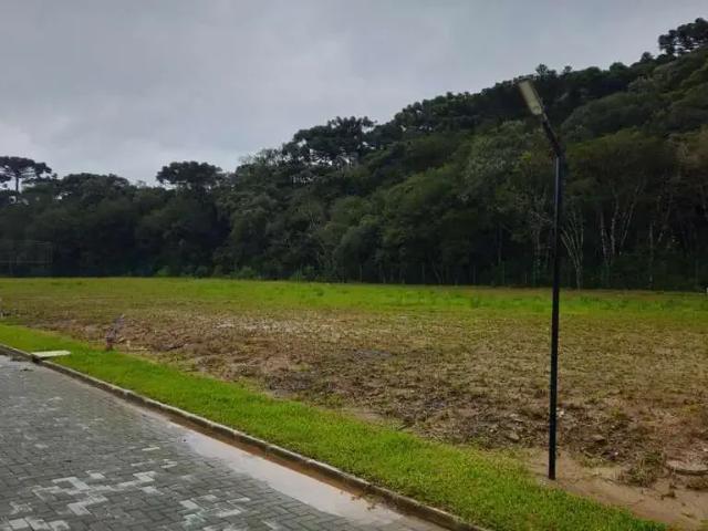 Terreno venda em Região Geográfica Imediata de São Bento do Sul-Rio Negrinho, São Bento do Sul