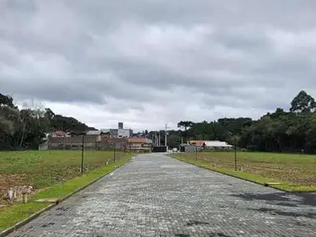 Terreno venda em Região Geográfica Imediata de São Bento do Sul-Rio Negrinho, São Bento do Sul