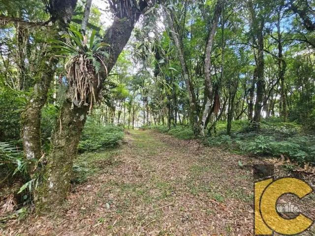 Terreno venda em Região Geográfica Imediata de São Bento do Sul-Rio Negrinho, São Bento do Sul