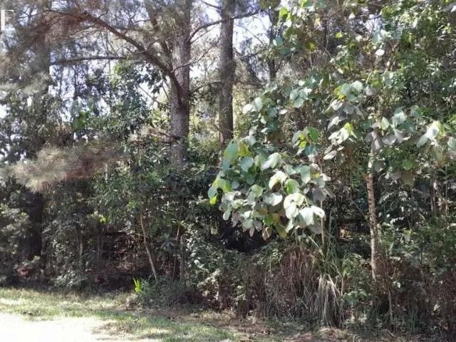Terreno venda em Região Geográfica Imediata de São Bento do Sul-Rio Negrinho, São Bento do Sul