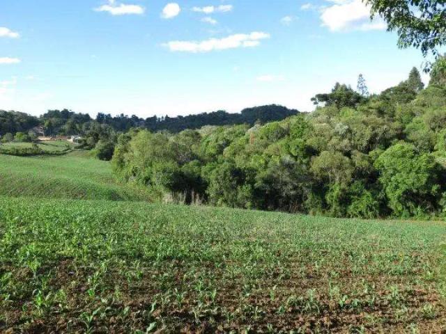 Terreno venda em Região Geográfica Imediata do Rio de Janeiro, Região Metropolitana do Rio de Janeiro